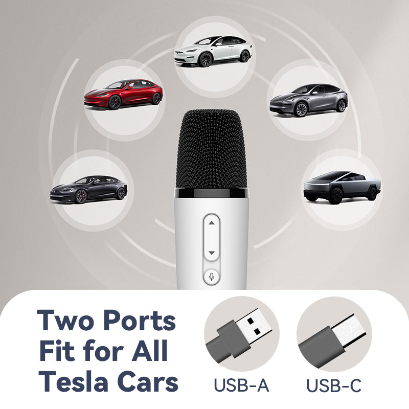 Tesla Dual Wireless Karaoke Microphones – Mr Entertainer Shop
